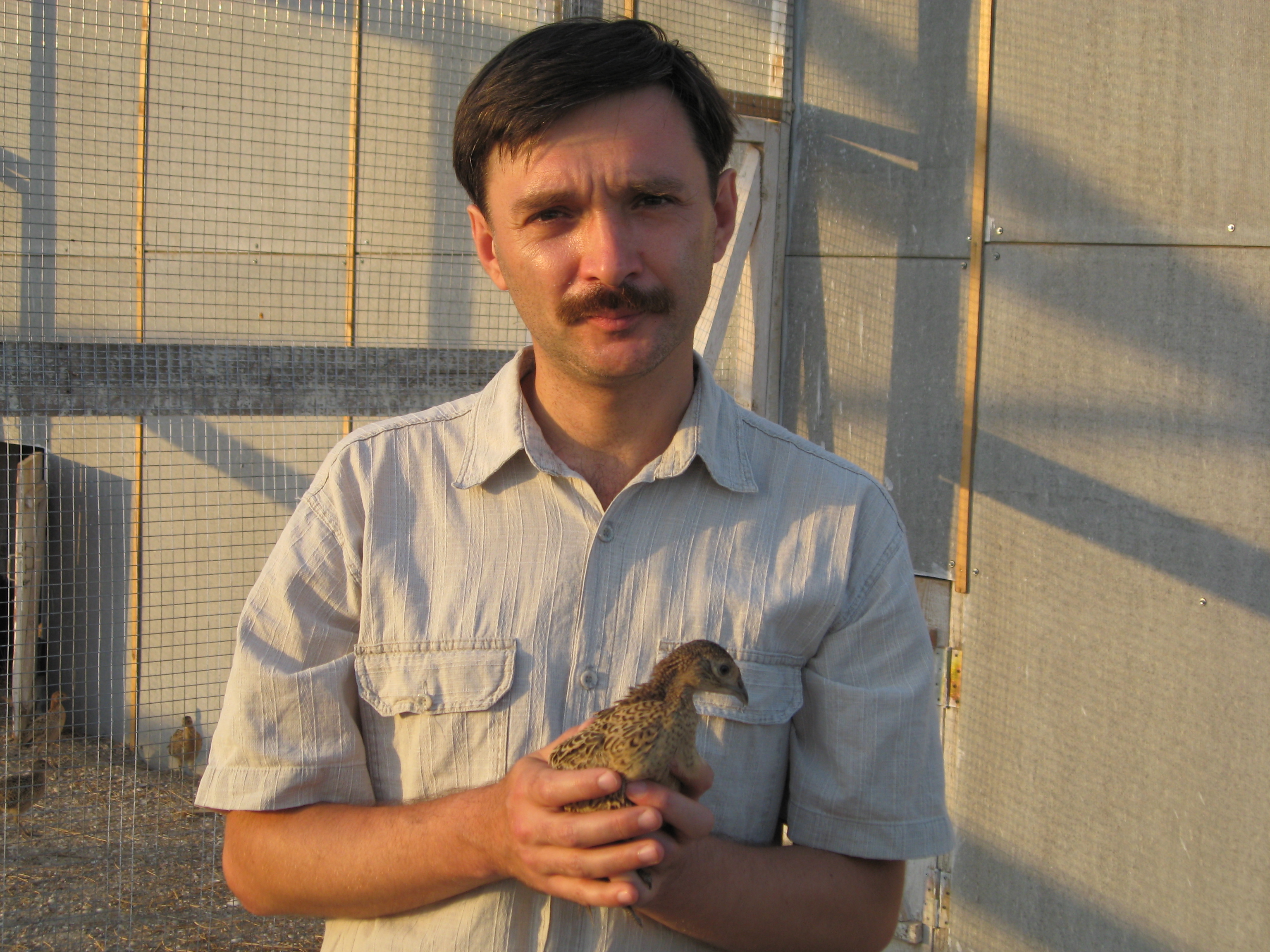 Корж Александр Павлович